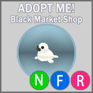 Harp Seal NFR