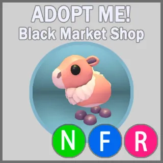 Momma Moose NFR