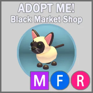 Siamese Cat MFR