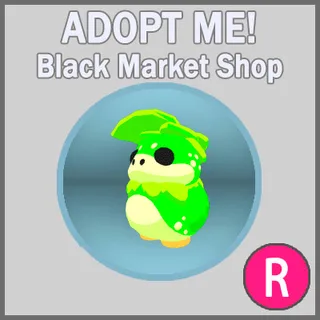 Kappakid R