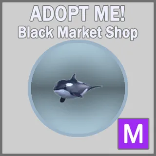 Orca M