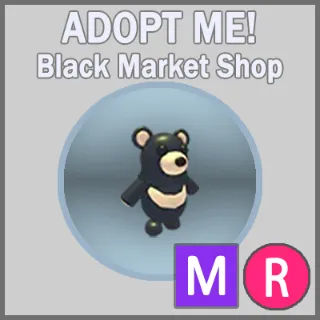 Black Moon Bear MR