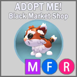 Munchkin Cat MFR
