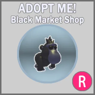Black Macaque R 