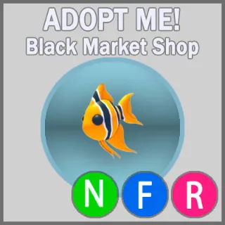 Angelfish NFR