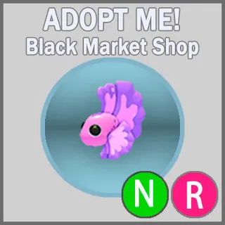 Pink Betta Fish NR