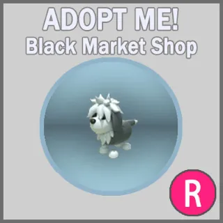 English Sheepdog R x5