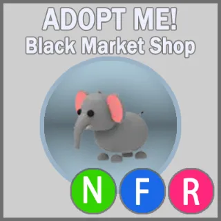 Elephant NFR