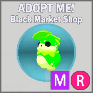 Kappakid MR