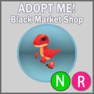 Velociraptor NR