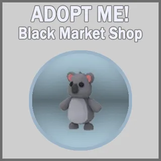 Koala
