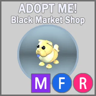 Golden Chow-Chow MFR