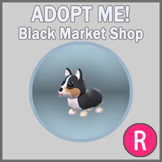Royal Corgi R