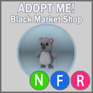 Koala NFR