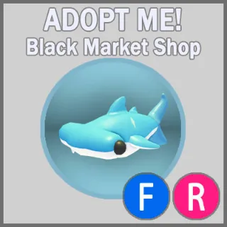 Hammerhead Shark FR