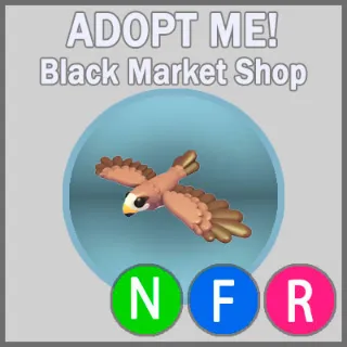 Black Kite NFR 