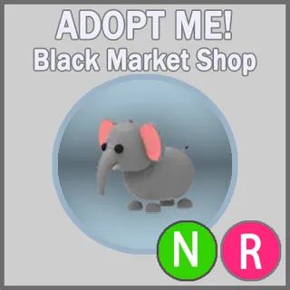 Elephant NR