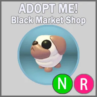 Snowball Pug NR