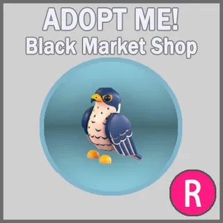 Peregrine Falcon R