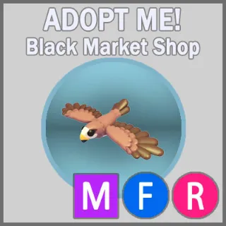 Black Kite MFR