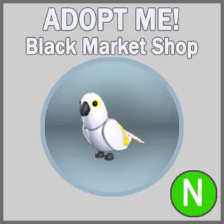 White Amazon N