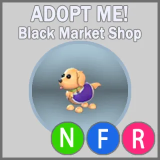 Therapy Dog NFR