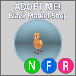 Alpaca NFR