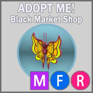 Amber Butterfly MFR