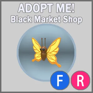 Yellow Butterfly FR