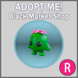 Cactus Friend R