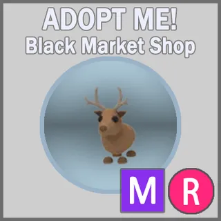 Reindeer MR