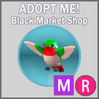 Hummingbird MR