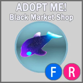 Glormy Dolphin FR