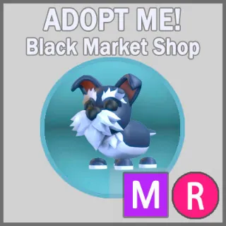 Mini Schnauzer MR