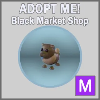 Chocolate Chow-Chow M