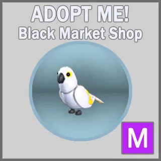 White Amazon M
