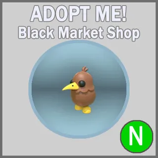 Kiwi N