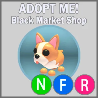 French Bulldog NFR