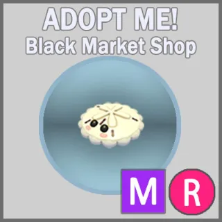 White Sand Dollar MR