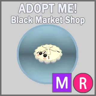 White Sand Dollar MR