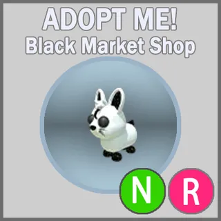 Moon Rabbit NR
