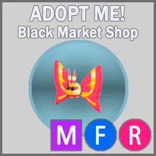 Rosy Maple Moth MFR