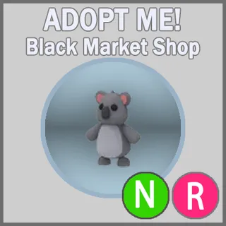 Koala NR