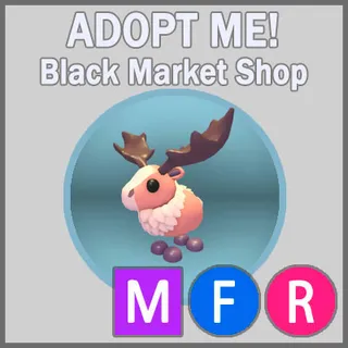 Papa Moose MFR
