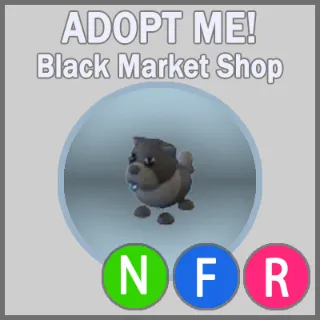 Black Chow-Chow NFR