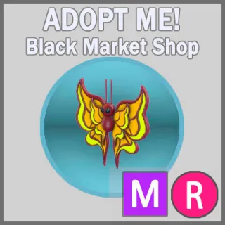 Amber Butterfly MR