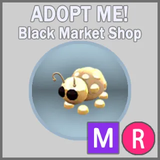 Golden Ladybug MR