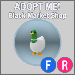 Silly Duck FR 
