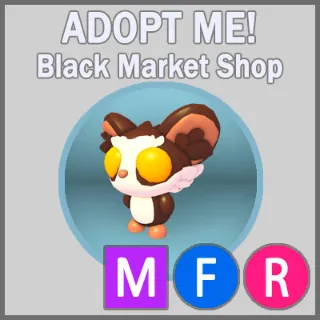 Aye Aye MFR