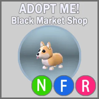 Corgi NFR